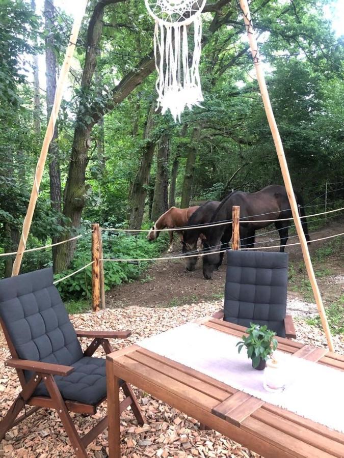 Glamping Nad Meandry Luxury tent